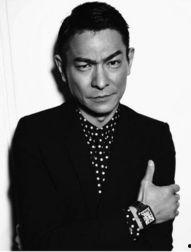 个人资料刘德华,华语影坛的常青树，魅力与才华并存的巨星之路”