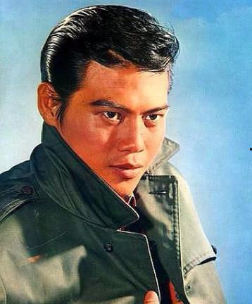 罗烈害个人资料,传奇武打影星的一生传奇