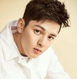 尹铮铮个人资料简历