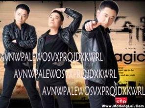 mc洪磊被砍的照片