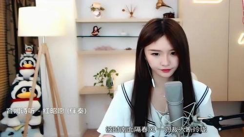 网红5首歌 红昭愿,网红神曲的传奇历程